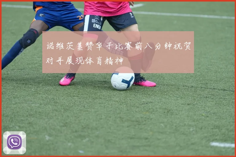诺维茨基赞华子比赛前八分钟祝贺对手展现体育精神